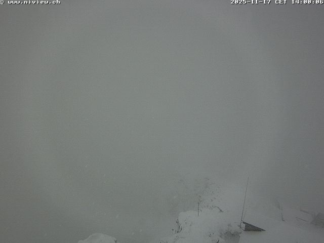 Video letzte Stunde Webcam1