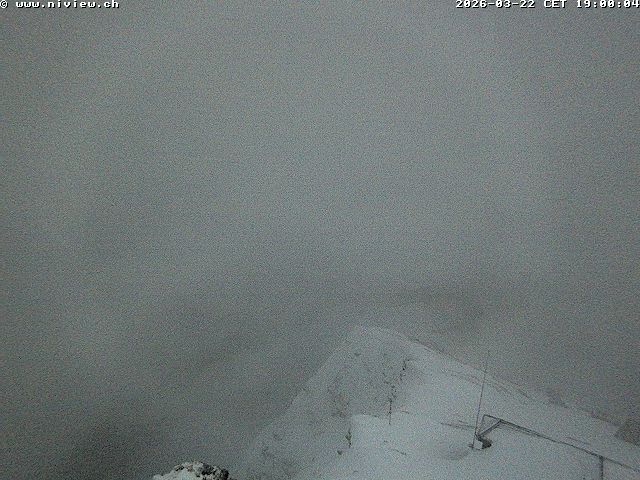 Video letzte Stunde Webcam1