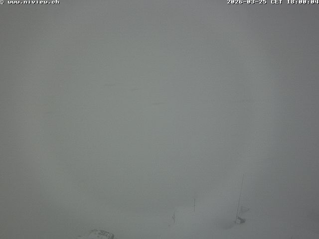 Video letzte Stunde Webcam1