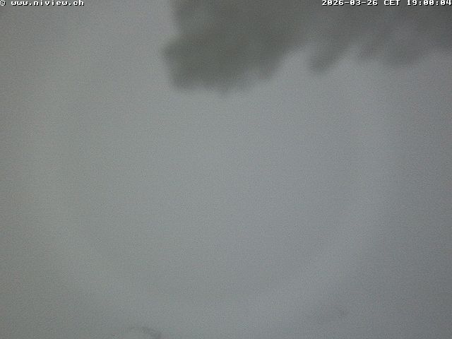 Video letzte Stunde Webcam1