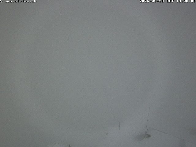 Video letzte Stunde Webcam1