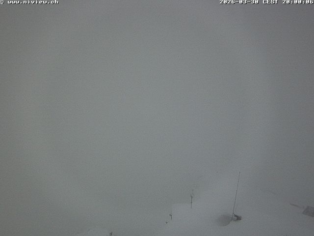 Video letzte Stunde Webcam1