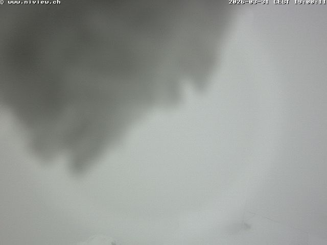 Video letzte Stunde Webcam1