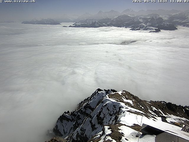 Video letzte Stunde Webcam1