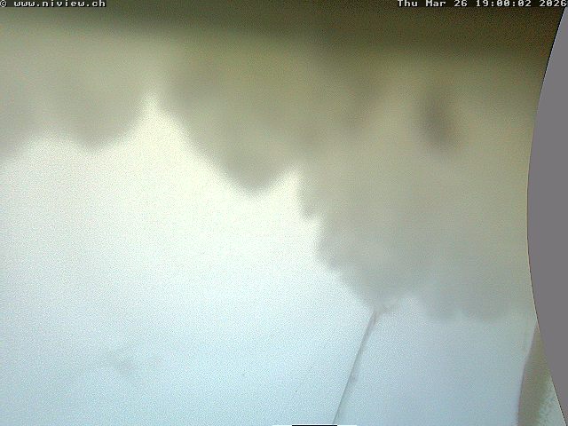 Video letzte Stunde Webcam2