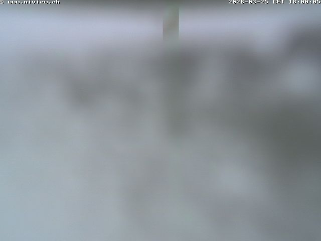 Video letzte Stunde Webcam3