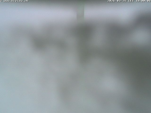 Video letzte Stunde Webcam3