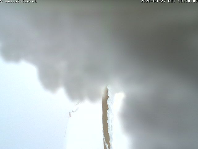 Video letzte Stunde Webcam3