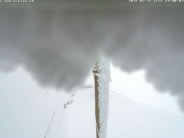 Video letzte Stunde Webcam3