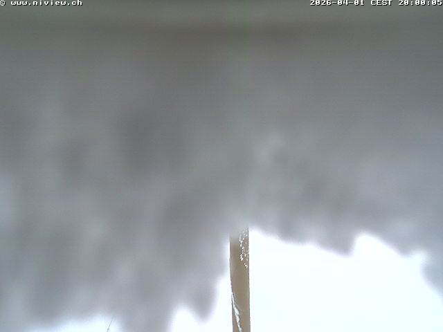 Video letzte Stunde Webcam3