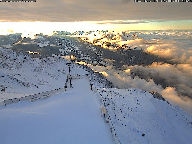 Video letzte Stunde Webcam4