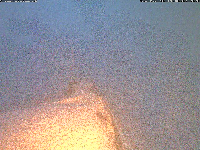 Video letzte Stunde Webcam4