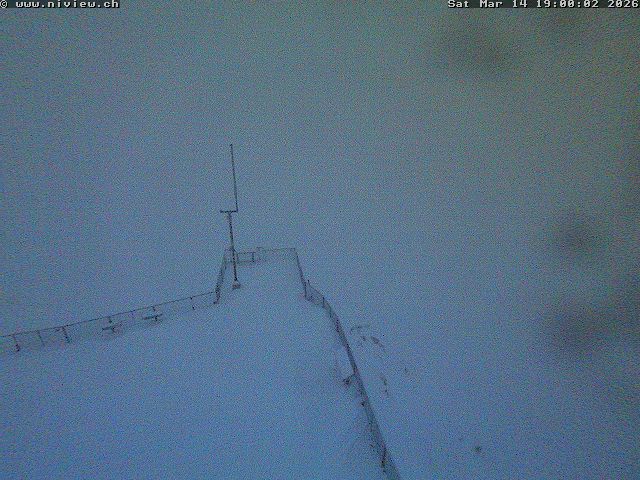 Video letzte Stunde Webcam4