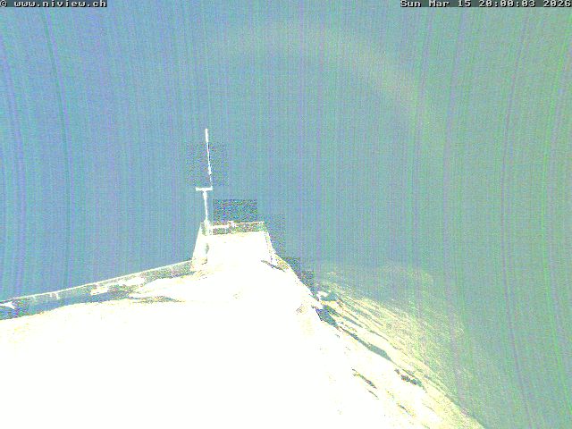 Video letzte Stunde Webcam4