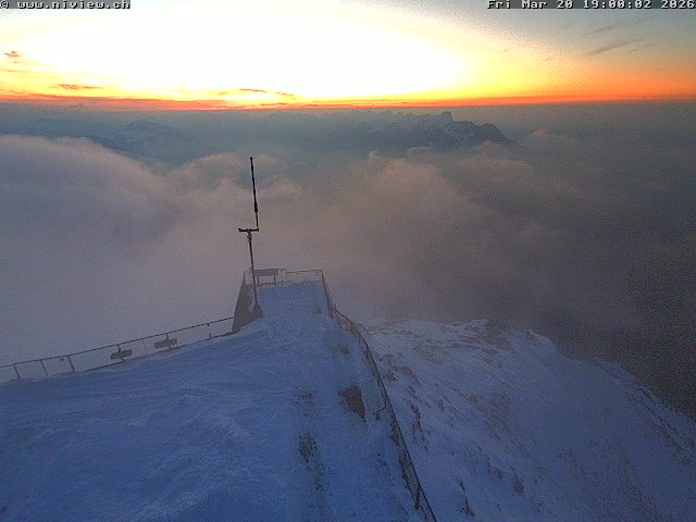 Video letzte Stunde Webcam4