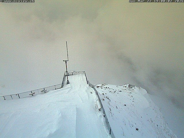 Video letzte Stunde Webcam4