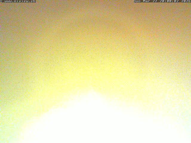 Video letzte Stunde Webcam4