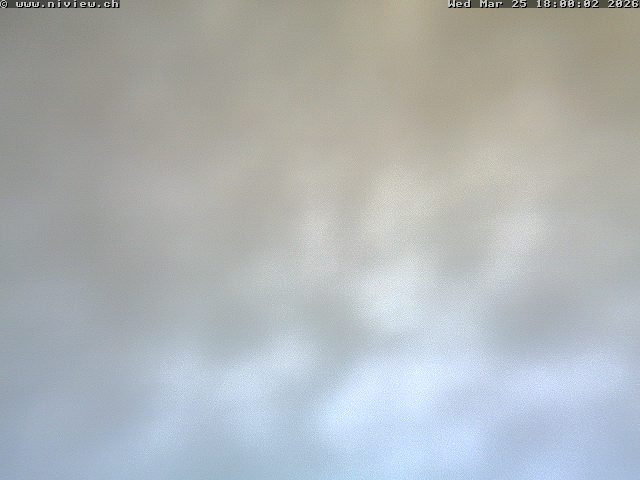 Video letzte Stunde Webcam4