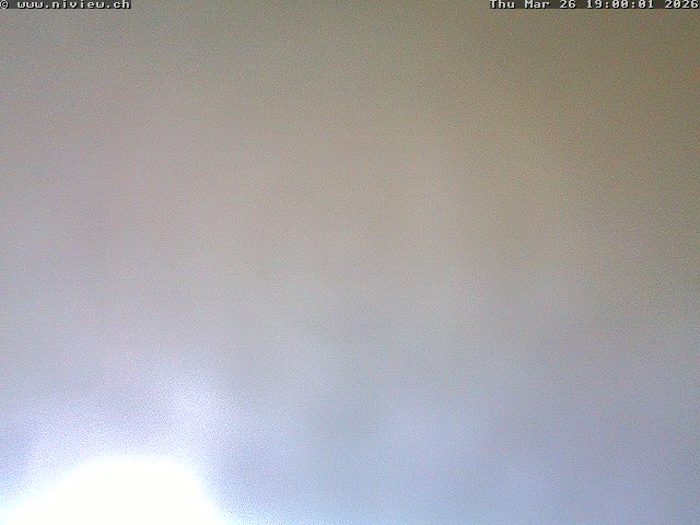 Video letzte Stunde Webcam4