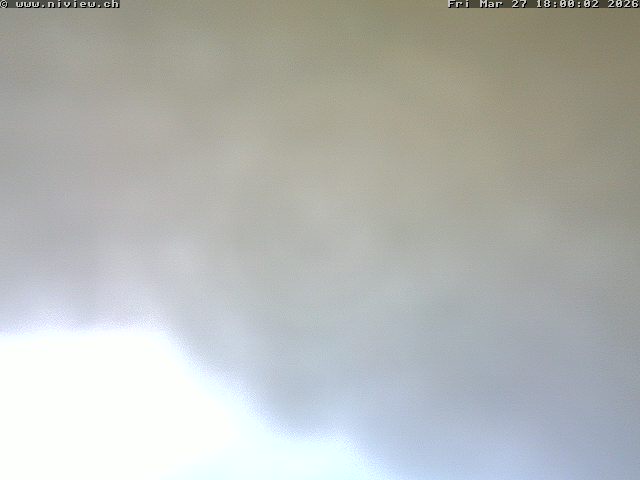 Video letzte Stunde Webcam4