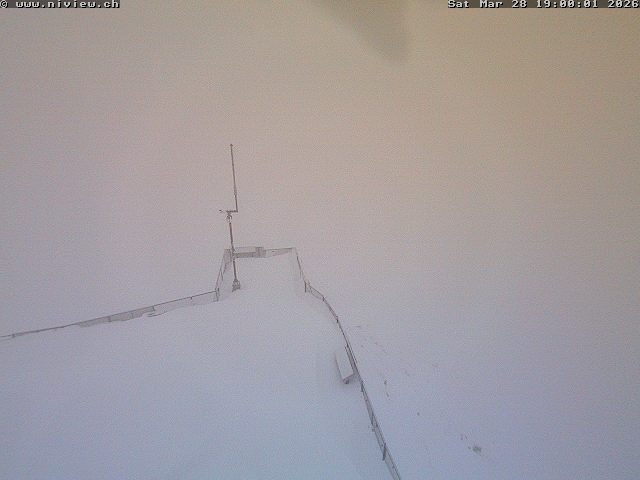 Video letzte Stunde Webcam4