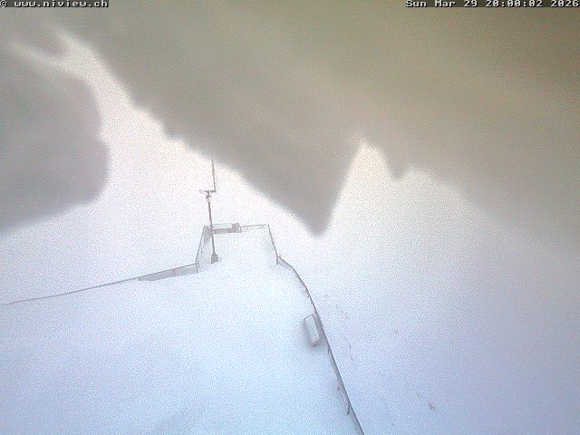 Video letzte Stunde Webcam4