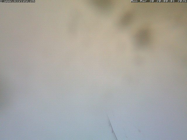 Video letzte Stunde Webcam4