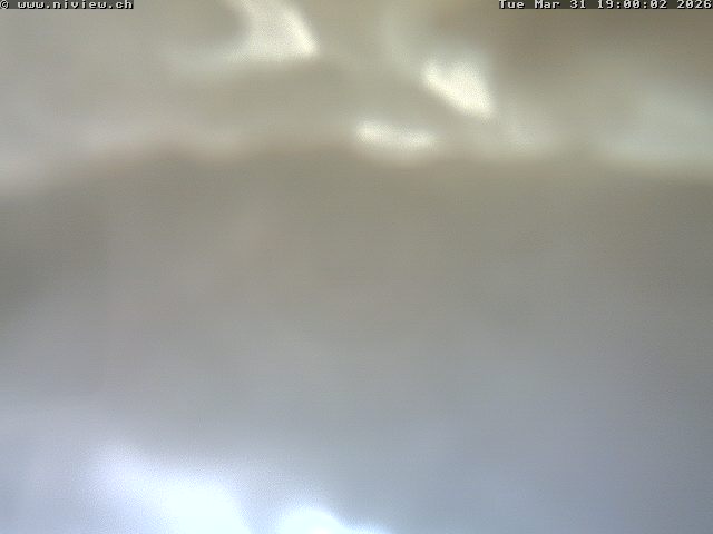 Video letzte Stunde Webcam4