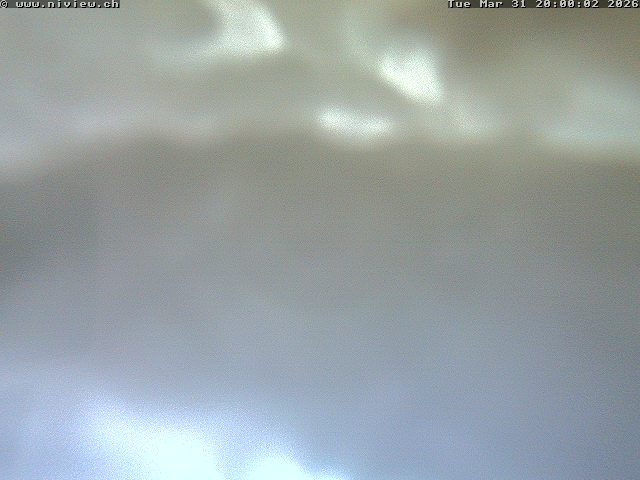 Video letzte Stunde Webcam4