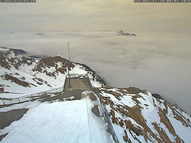 Video letzte Stunde Webcam4