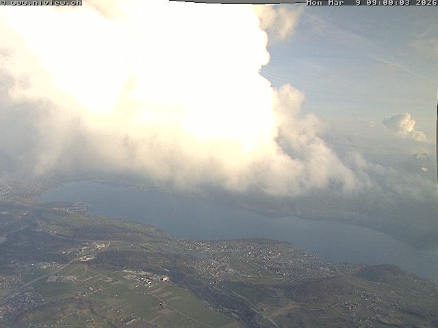 Video letzte Stunde Webcam5