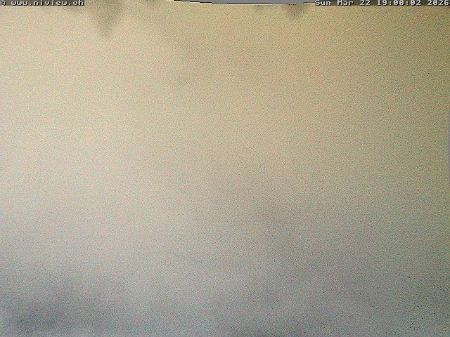 Video letzte Stunde Webcam5