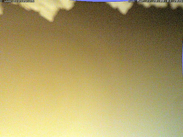 Video letzte Stunde Webcam5