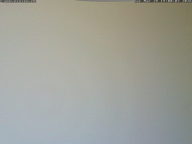 Video letzte Stunde Webcam5