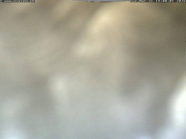 Video letzte Stunde Webcam5