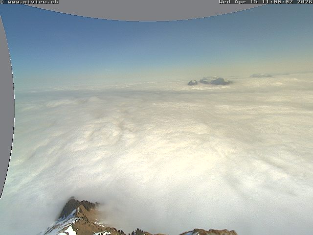 Video letzte Stunde Webcam6