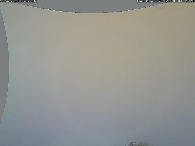 Video letzte Stunde Webcam6