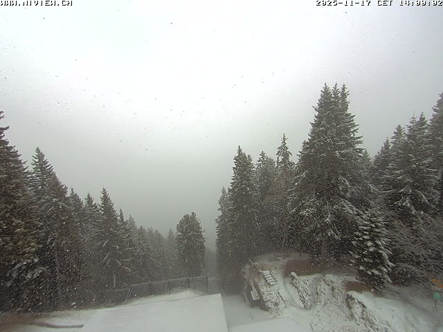 Video letzte Stunde Schwandegg