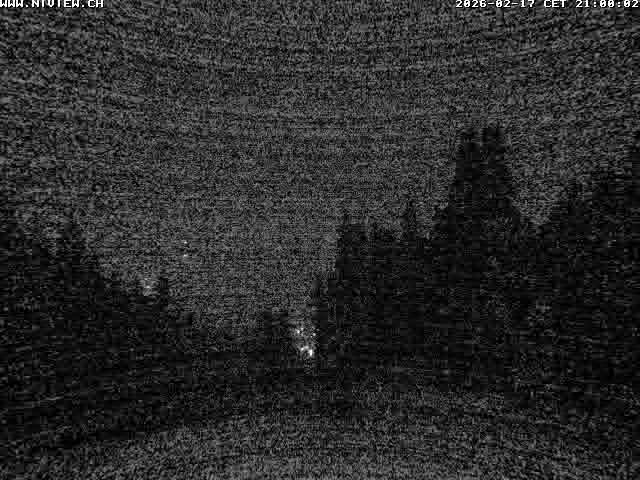 Video letzte Stunde Schwandegg