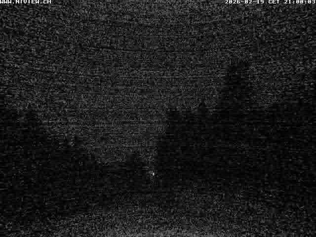 Video letzte Stunde Schwandegg