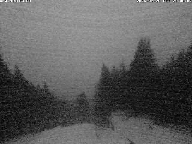 Video letzte Stunde Schwandegg