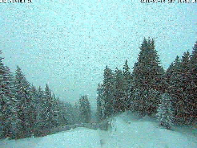 Video letzte Stunde Schwandegg