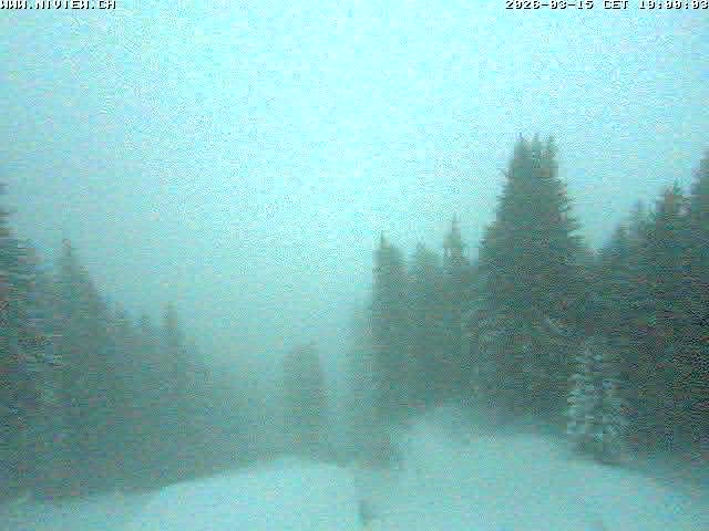 Video letzte Stunde Schwandegg