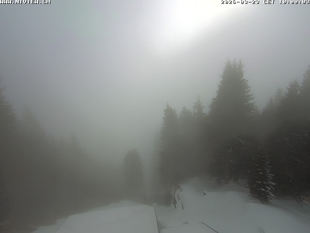 Video letzte Stunde Schwandegg