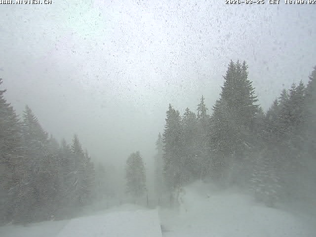 Video letzte Stunde Schwandegg