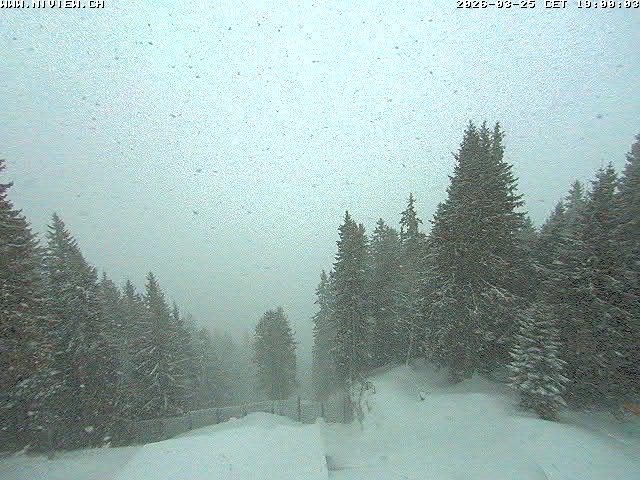 Video letzte Stunde Schwandegg