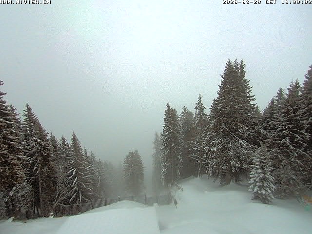 Video letzte Stunde Schwandegg