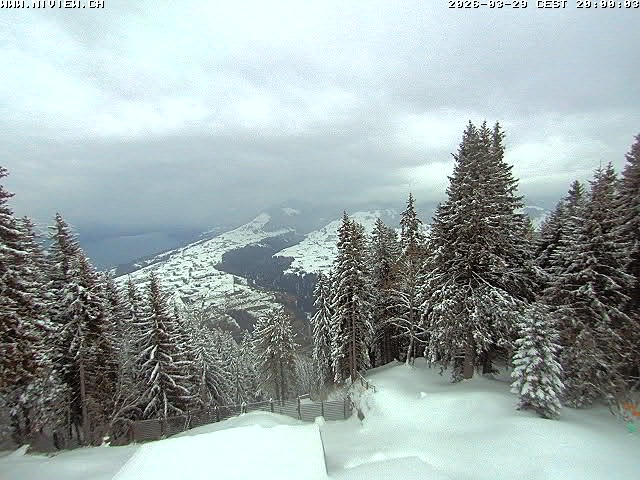 Video letzte Stunde Schwandegg