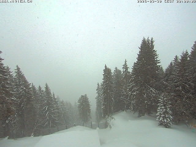 Video letzte Stunde Schwandegg