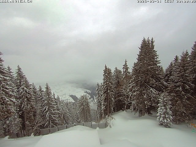 Video letzte Stunde Schwandegg